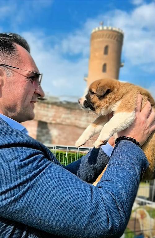 You are currently viewing Adopții record la Târgoviște. Cățelușii din adăpost și-au găsit familii în timp record