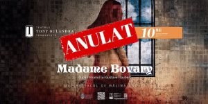 Read more about the article Spectacolul „Madame Bovary” de la Teatrul Municipal „Tony Bulandra” din data de 10 mai 2026 se suspendă!