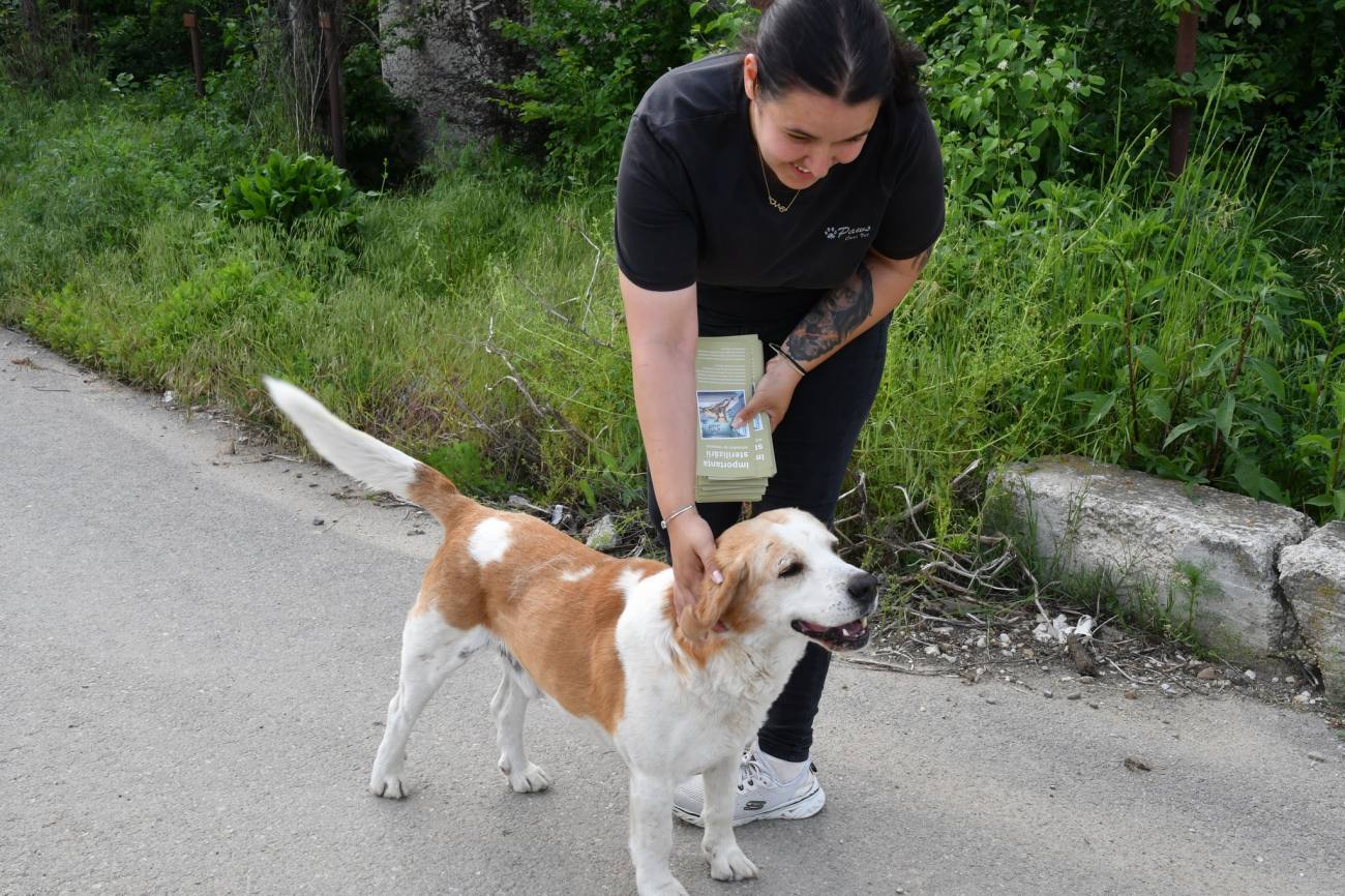 You are currently viewing Campanie din ușă în ușă în Răcari. Proprietarii de animale, informați cu privire la sterilizarea gratuită