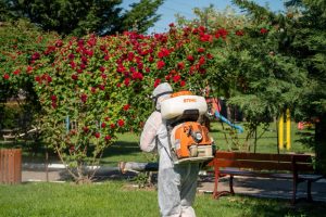 Read more about the article Acțiune de dezinsecție, dezinfecție și deratizare în comuna Aninoasa
