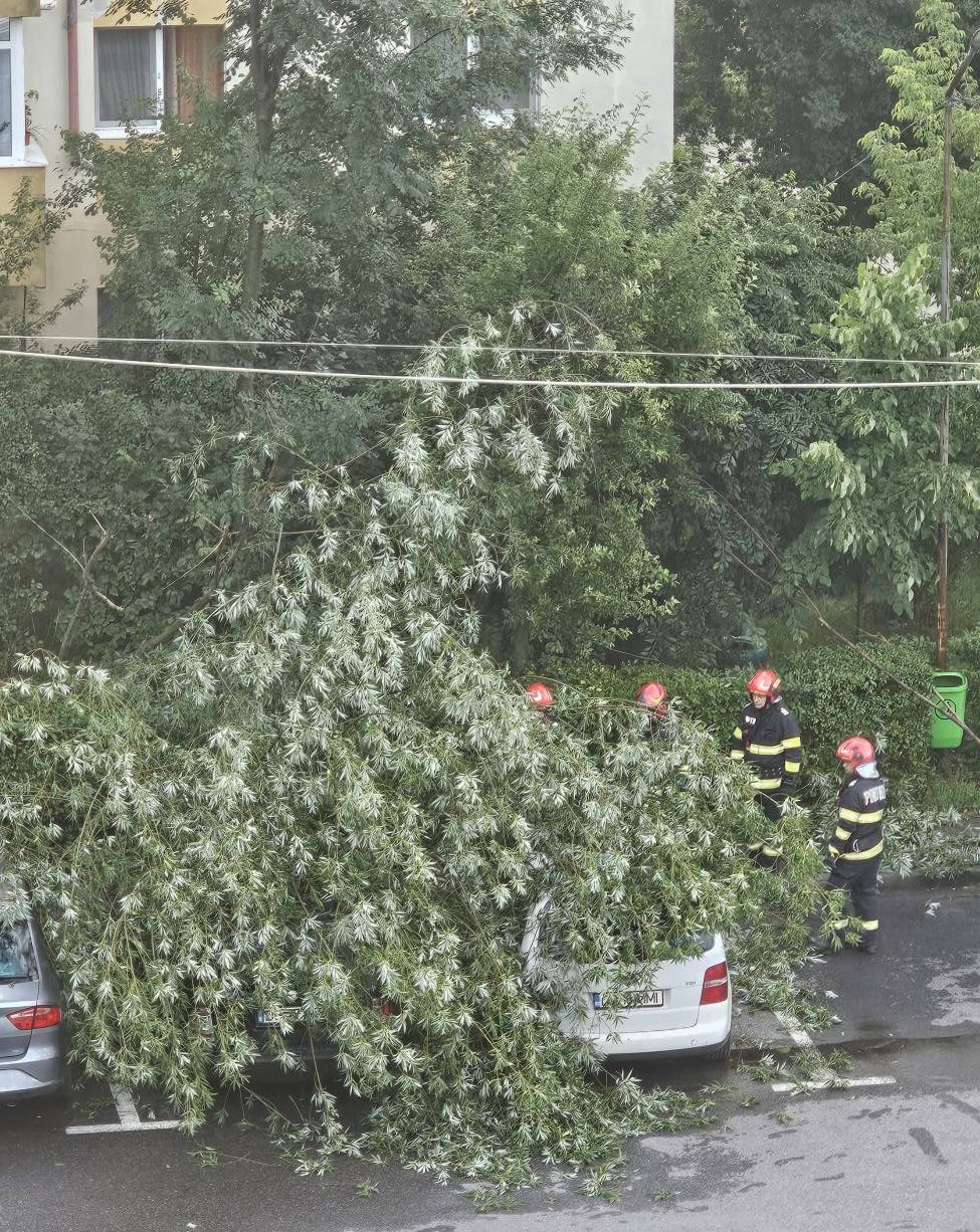 You are currently viewing Furtuna a făcut din nou pagube la Târgoviște. Pompierii au intervenit după ce un copac a căzut peste mai multe autoturisme