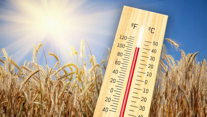 You are currently viewing Primul val de caniculă al verii ajunge în Dâmbovița. ANM a emis informare meteo și Cod Galben pentru temperaturi ridicate