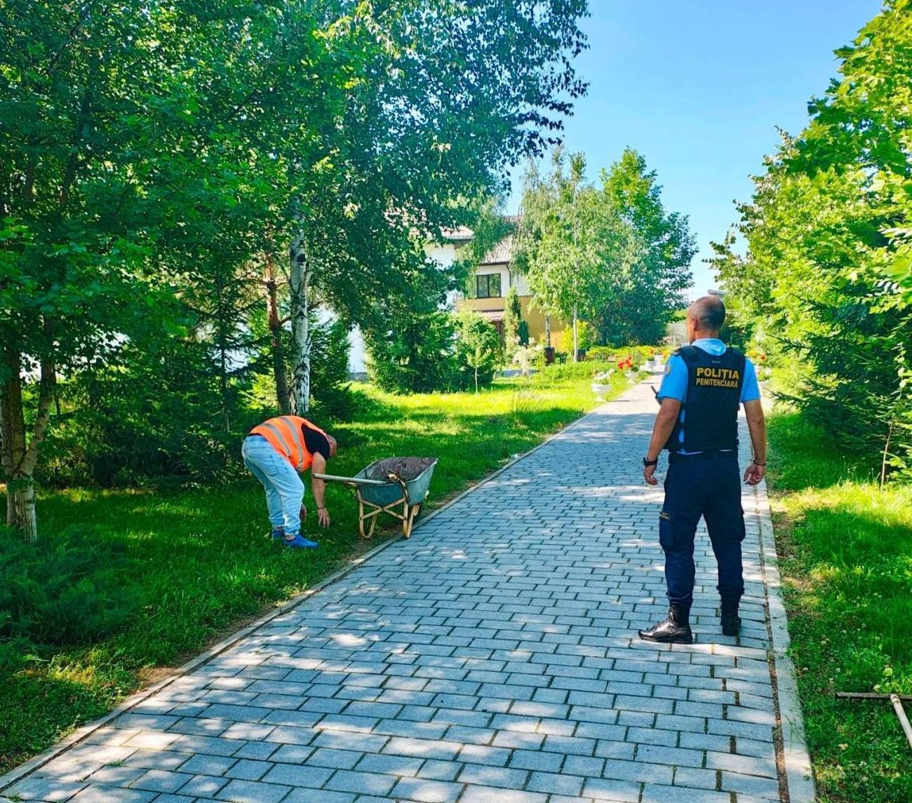 You are currently viewing Spațiile verzi ale Mănăstirii Pătroaia, îngrijite în cadrul unei activități de reintegrare socială