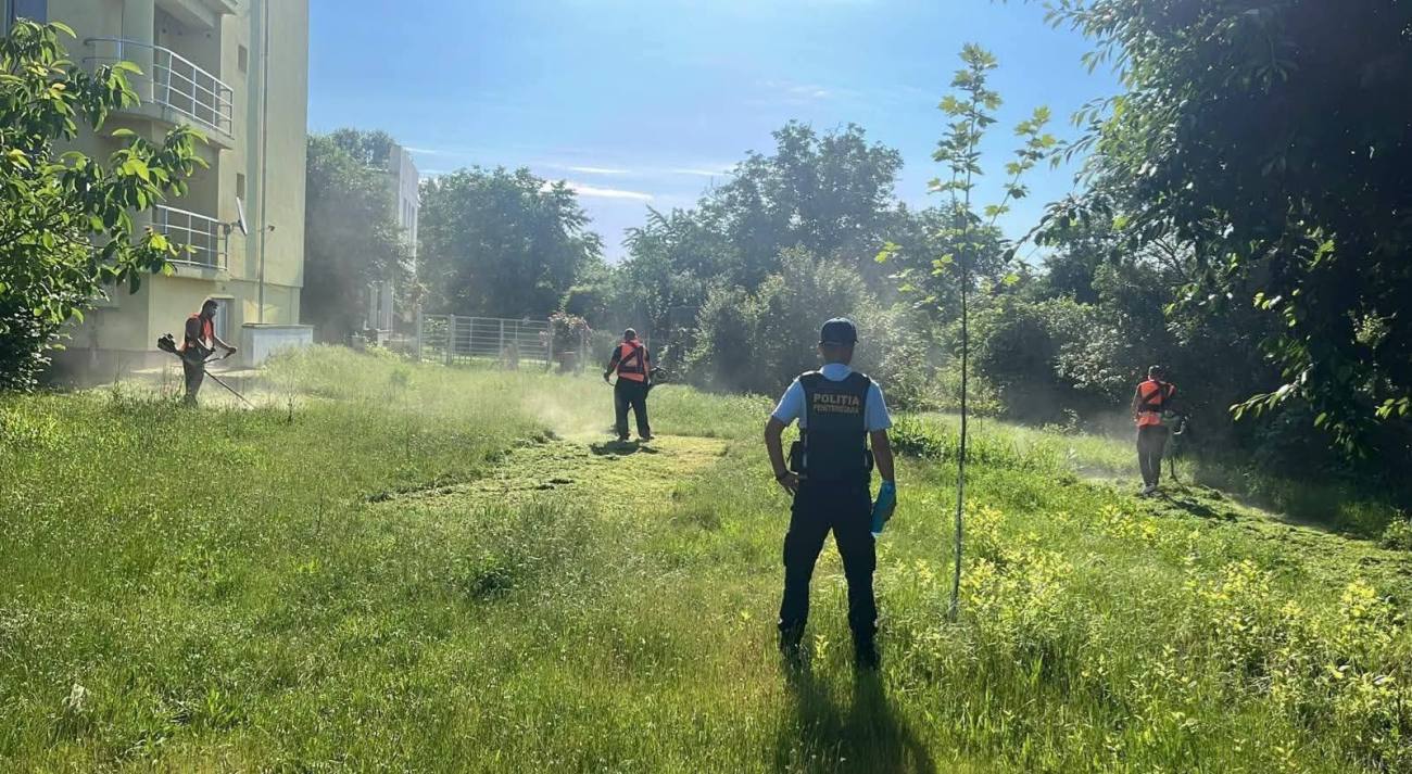You are currently viewing Voluntariat în folosul comunității. Deținuți de la Penitenciarul Găești îngrijesc spațiile verzi din oraș