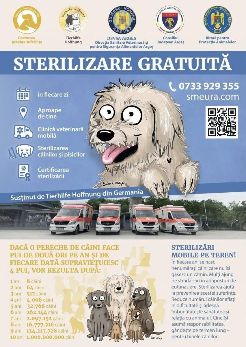 You are currently viewing Campanie gratuită de sterilizare a câinilor și pisicilor, la Mogoșani