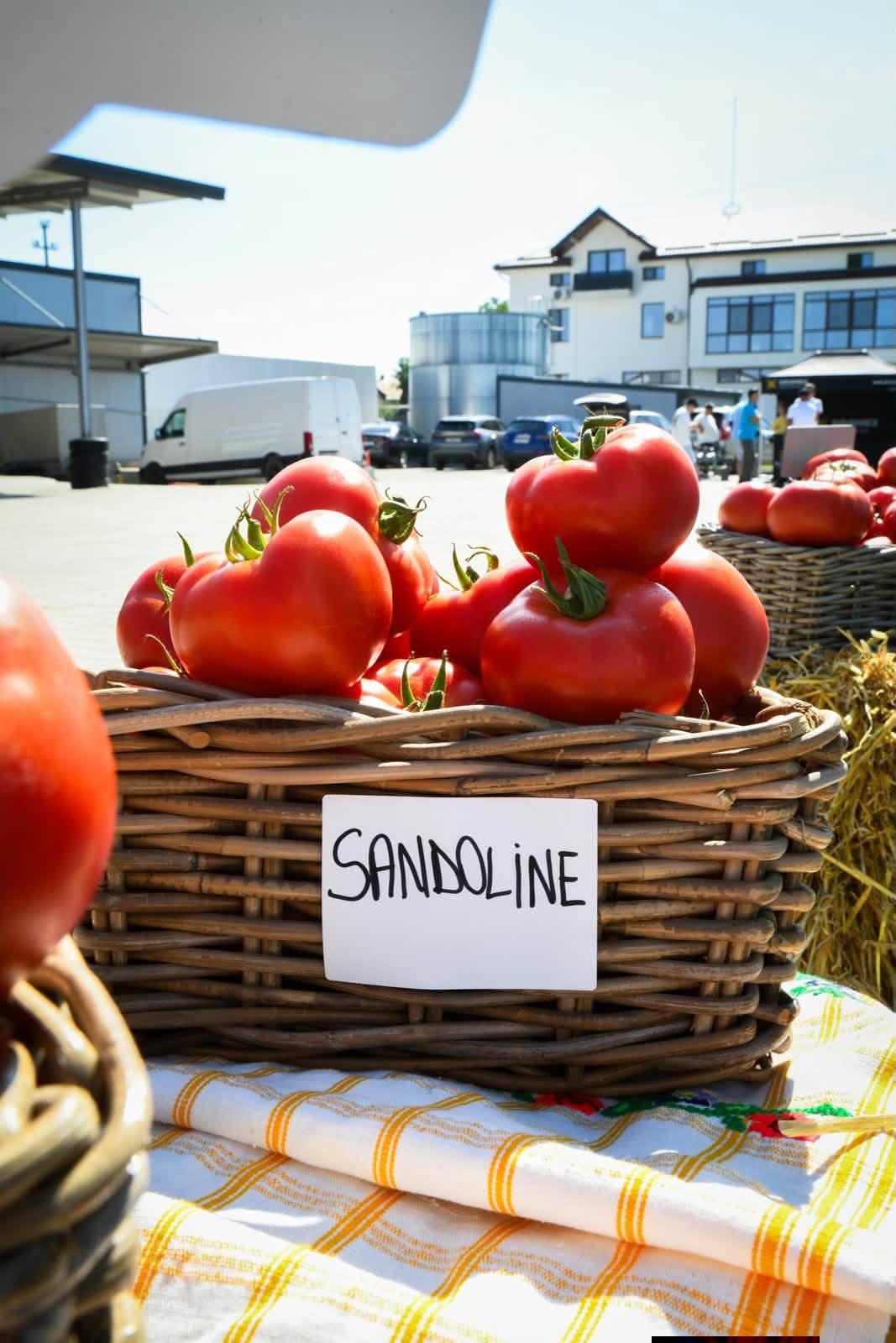 You are currently viewing Tomatele de Băleni, în centrul unui eveniment dedicat fermierilor și tehnologiilor din legumicultură