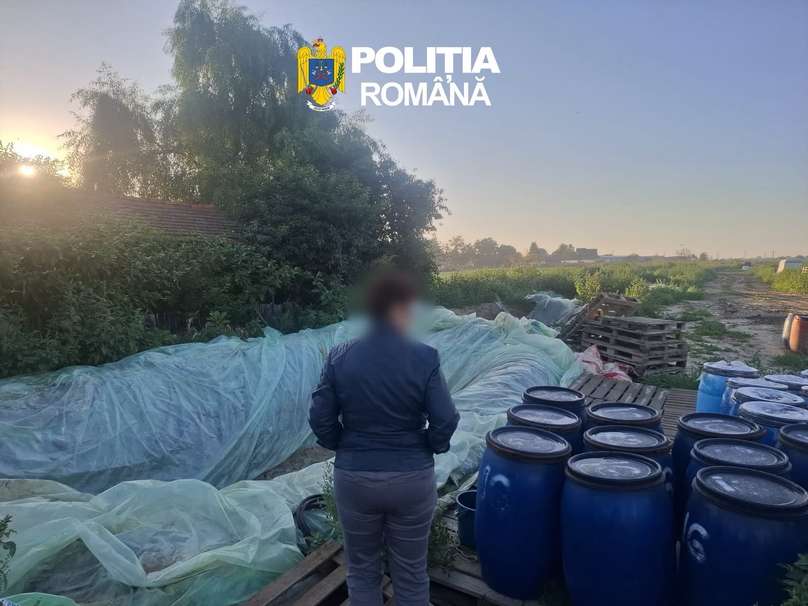 You are currently viewing ACȚIUNE A POLIȚIȘTILOR SERVICIULUI DE INVESTIGARE A CRIMINALITĂȚII ECONOMICE, LA SLOBOZIA MOARĂ ȘI LUNGULEȚU