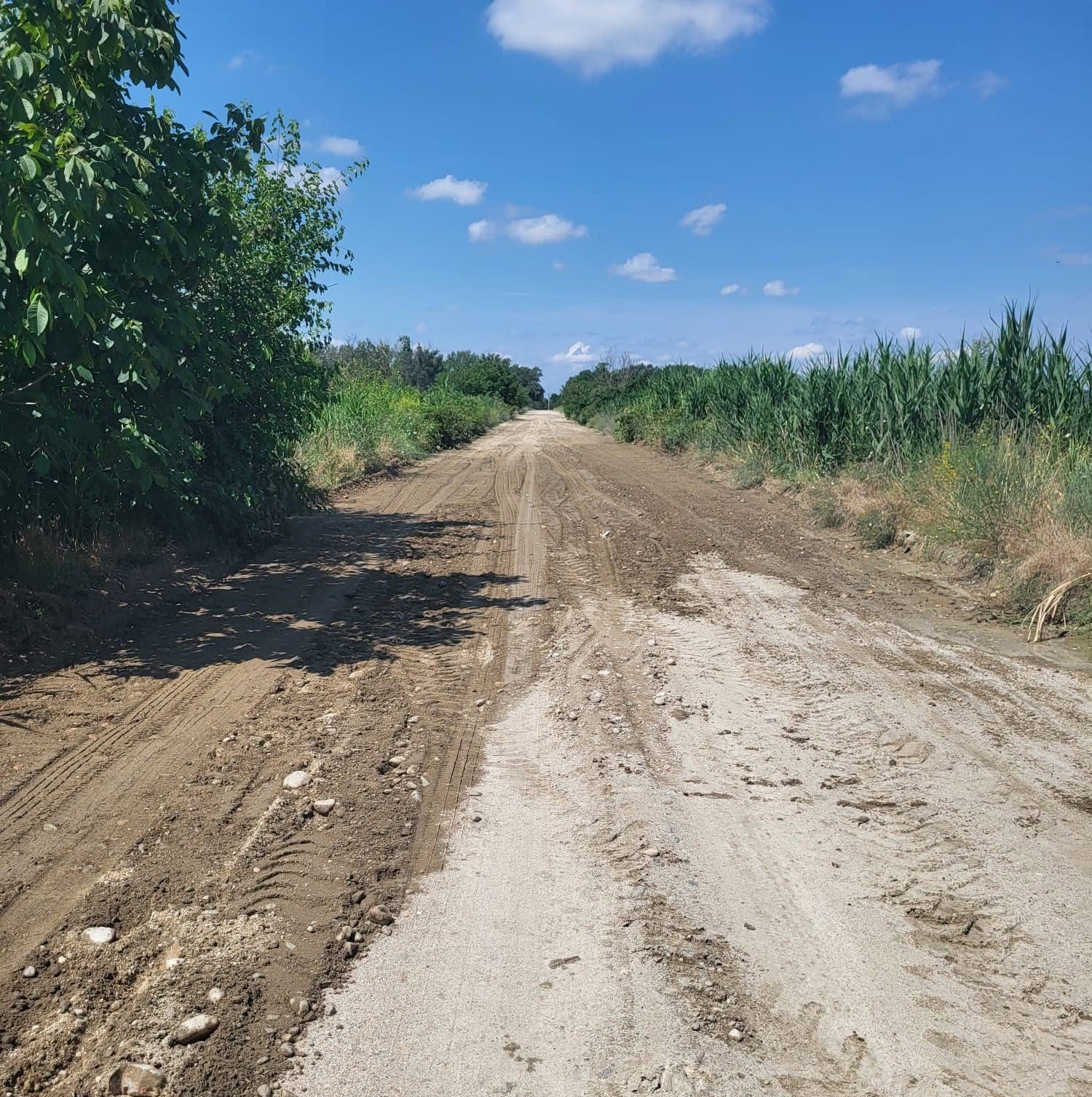 You are currently viewing Primăria Mogoșani intervine pentru refacerea drumurilor afectate de ploile din ultima perioadă