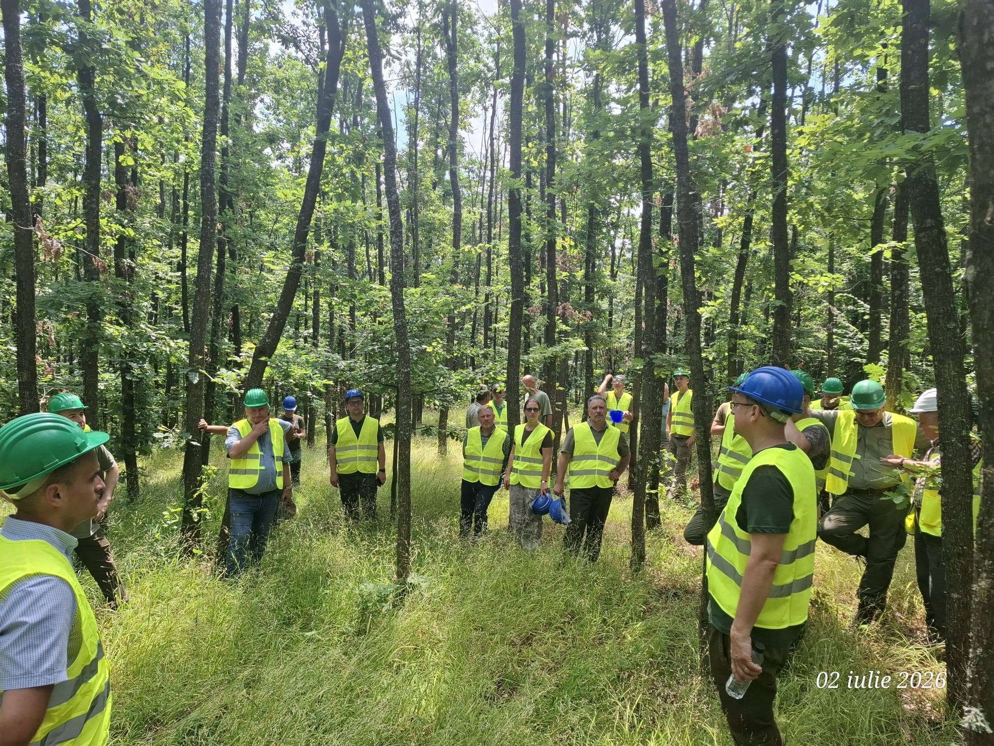 You are currently viewing Specialiști din silvicultură, reuniți în Dâmbovița pentru un schimb de experiență organizat de Romsilva
