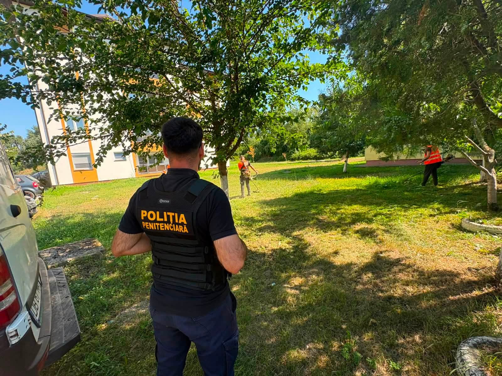 You are currently viewing Primăria Găești și Penitenciarul Găești colaborează pentru întreținerea spațiilor verzi din oraș