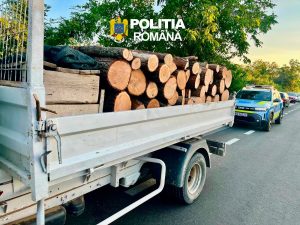 Read more about the article Doi bărbați au fost depistați de polițiști în timp ce transportau ilegal material lemnos, la Bărbulețu și Finta Mare