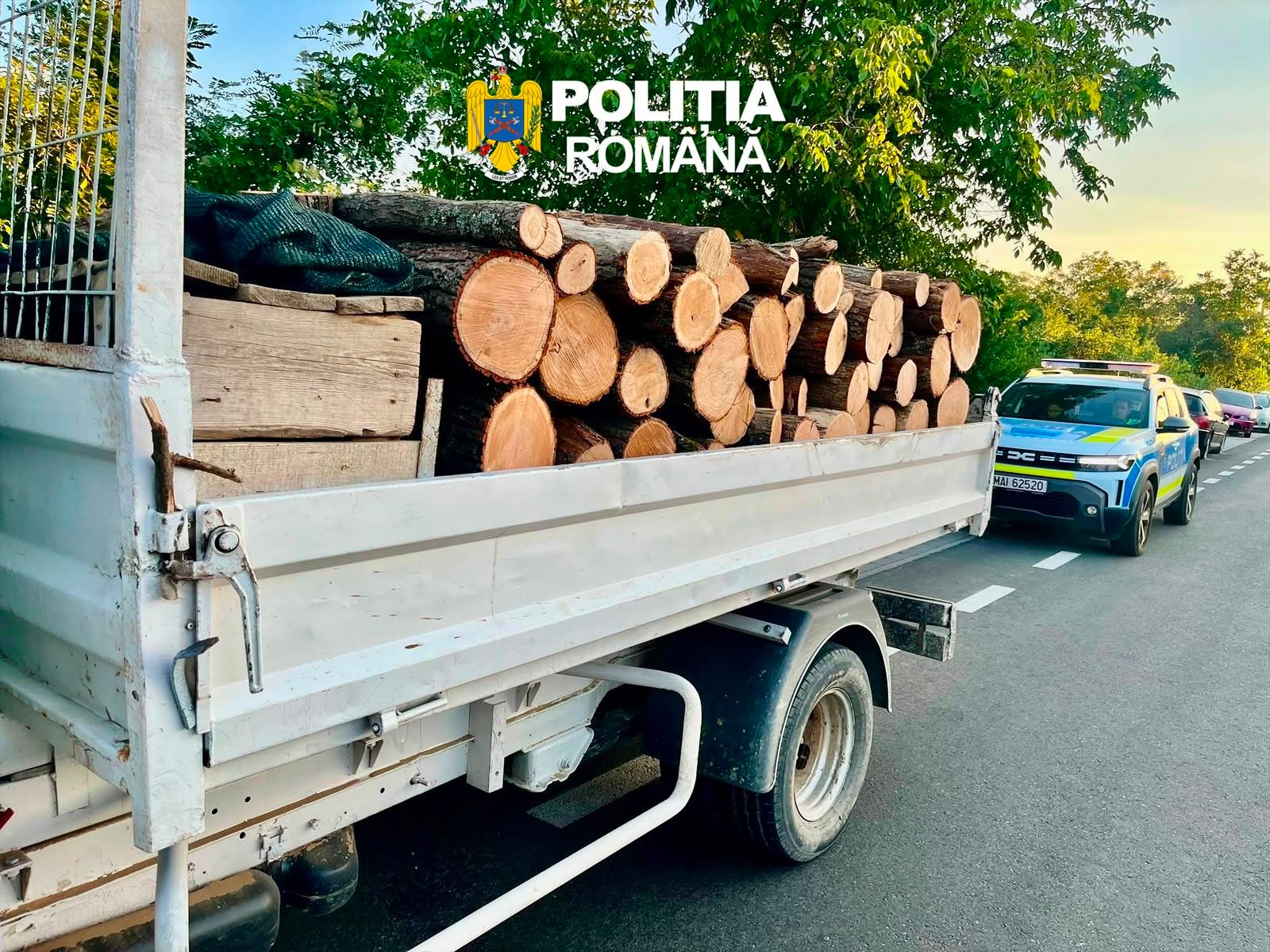 You are currently viewing Doi bărbați au fost depistați de polițiști în timp ce transportau ilegal material lemnos, la Bărbulețu și Finta Mare