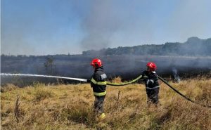 Read more about the article Incendiu de vegetație uscată pe raza localității Nucet! Pompierii au intervenit!