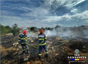 Read more about the article Incendiu puternic de vegetație în zona Romlux! Pompierii au intervenit!