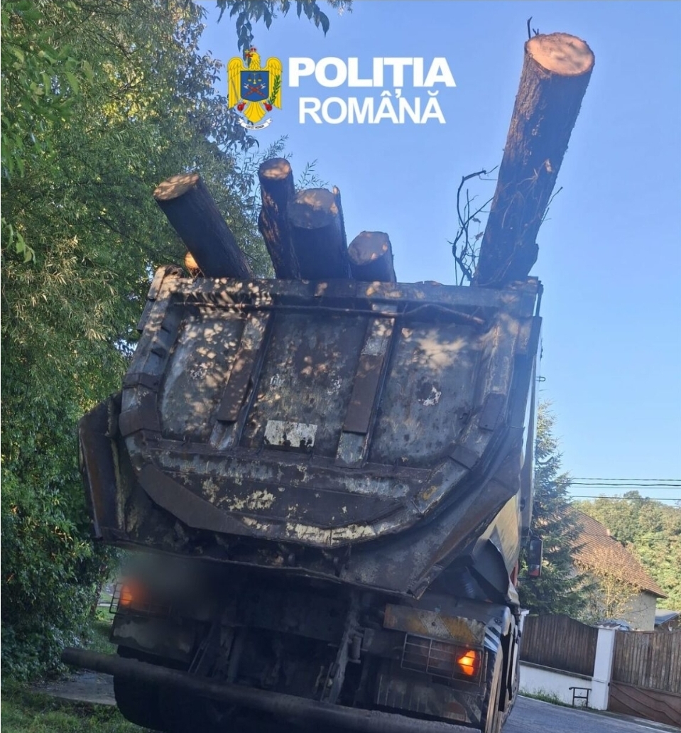 You are currently viewing Bărbat din Pucioasa, depistat transportând ilegal material lemnos!