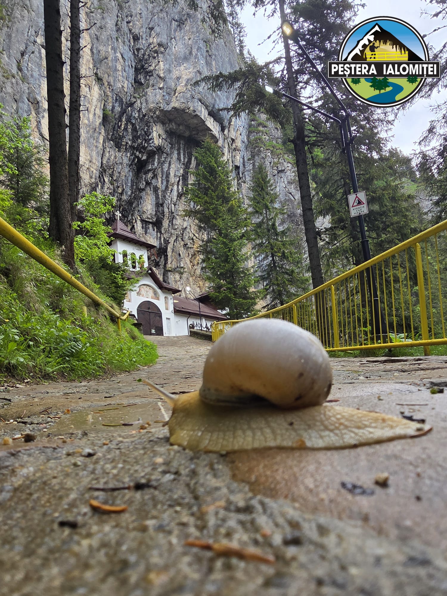 You are currently viewing PEȘTERA IALOMIȚEI, DESTINAȚIA IDEALĂ ÎN ZILELE CANICULARE