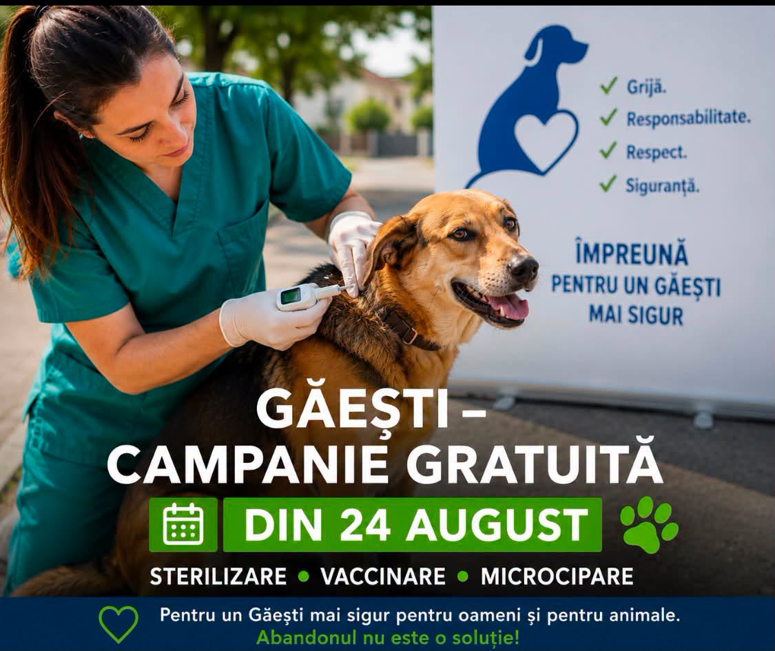 You are currently viewing Primăria Găești pornește o amplă acțiune pentru gestionarea câinilor cu și fără stăpân