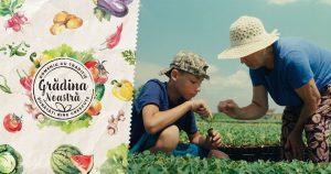 Read more about the article Legumele și fructele cultivate în Dâmbovița ajung pe rafturile din toată țara