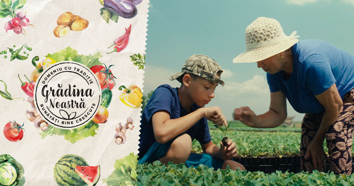 You are currently viewing Legumele și fructele cultivate în Dâmbovița ajung pe rafturile din toată țara