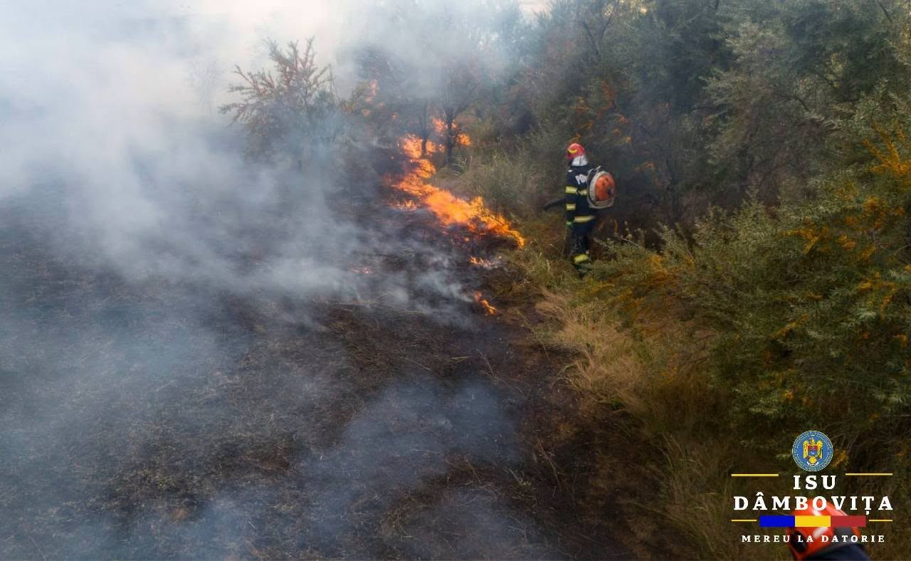 You are currently viewing Cinci incendii de vegetație și zeci de hectare afectate într-o zi, în județul Dâmbovița. Pompierii trag din nou un semnal de alarmă