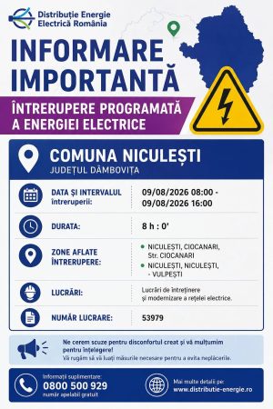 Read more about the article Lucrări la rețeaua electrică. Întreruperi programate în comuna Niculești