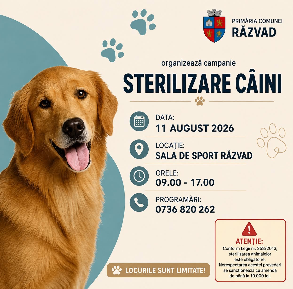 You are currently viewing Campanie gratuită de sterilizare a câinilor, organizată marți la Răzvad