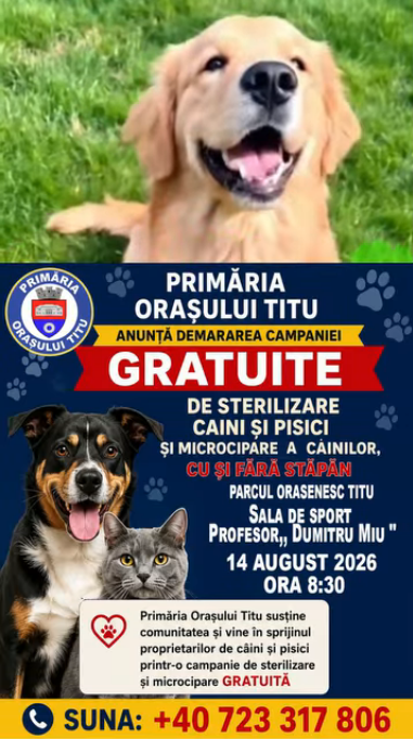 You are currently viewing Recensământ al câinilor și campanie gratuită de sterilizare la Titu