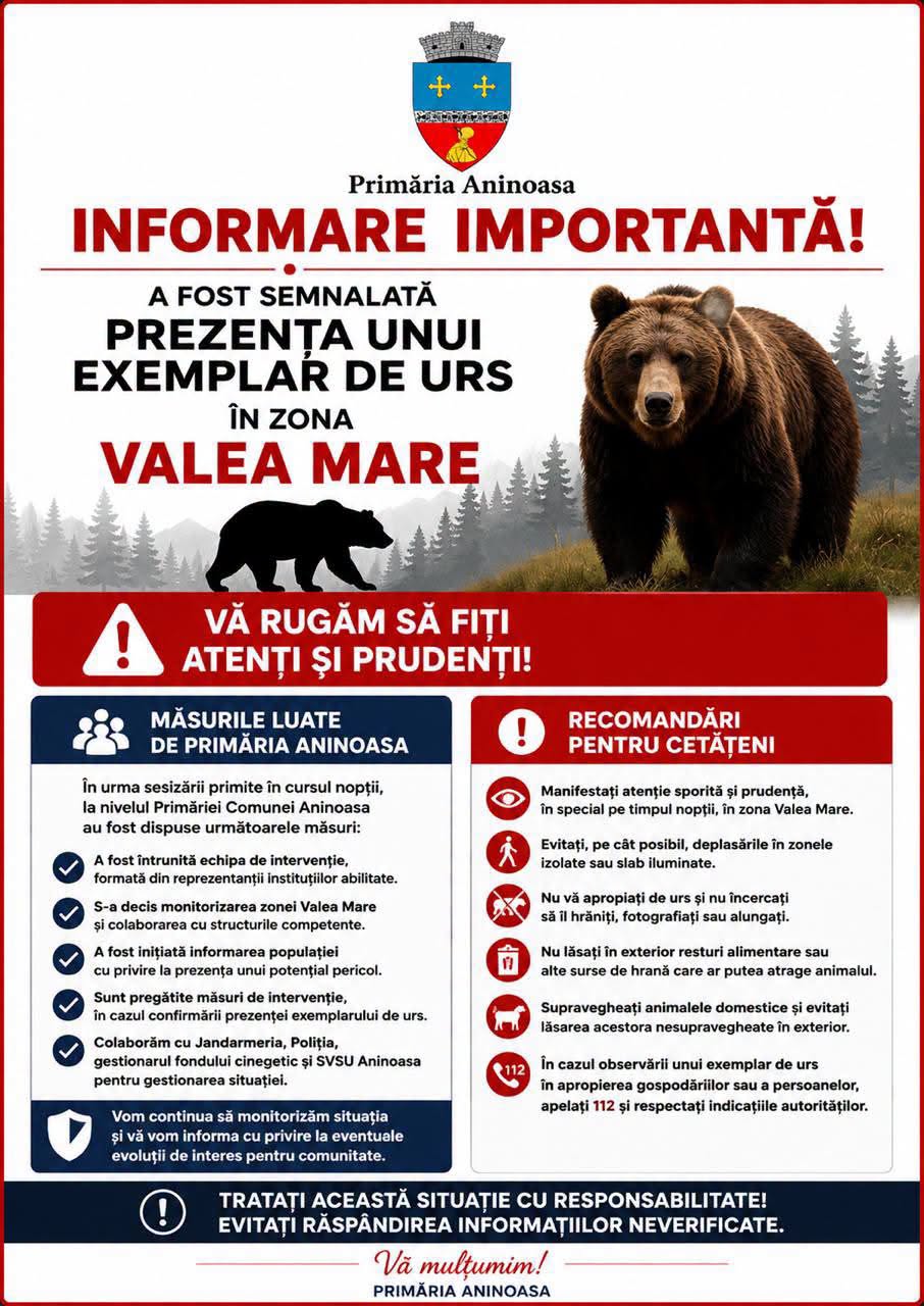 You are currently viewing Alertă la Aninoasa! Un urs a atacat animale în zona Valea Mare. Autoritățile fac apel la prudență