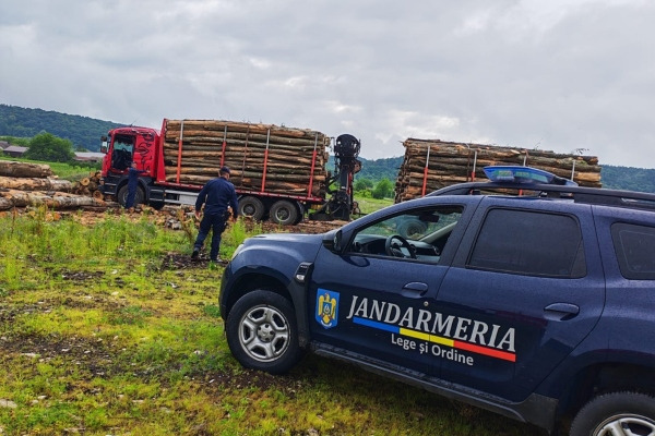 You are currently viewing Un bărbat decedat figura ca șofer în 122 de transporturi de lemn. Descoperirea făcută de jandarmii dâmbovițeni