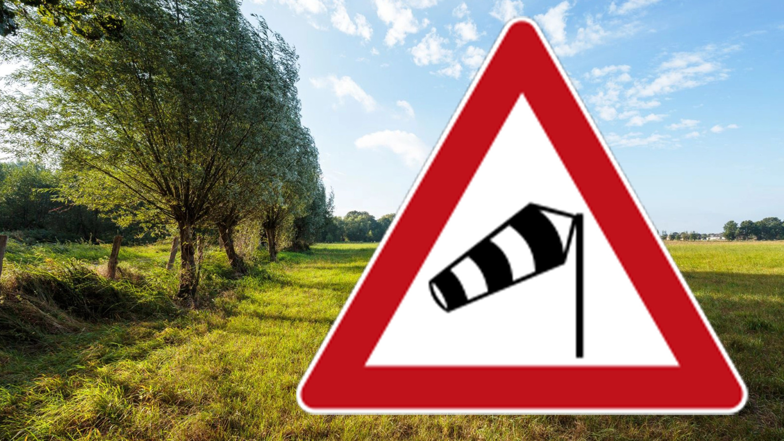 You are currently viewing Vânt puternic în Dâmbovița până miercuri seară. Rafalele pot ajunge la 55 km/h