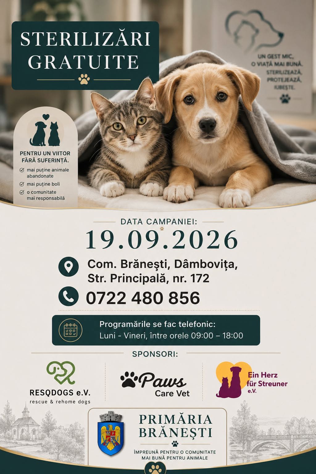 You are currently viewing Sterilizări gratuite pentru câini și pisici, la Brănești. Proprietarii pot face programări pentru campania din 19 septembrie