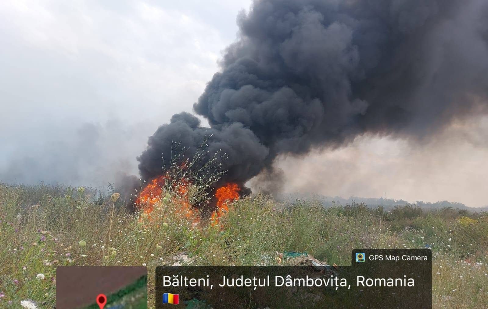 You are currently viewing Amendă de 60.000 de lei, după arderi necontrolate și deșeuri abandonate la Bălteni. Garda de Mediu va sesiza Parchetul