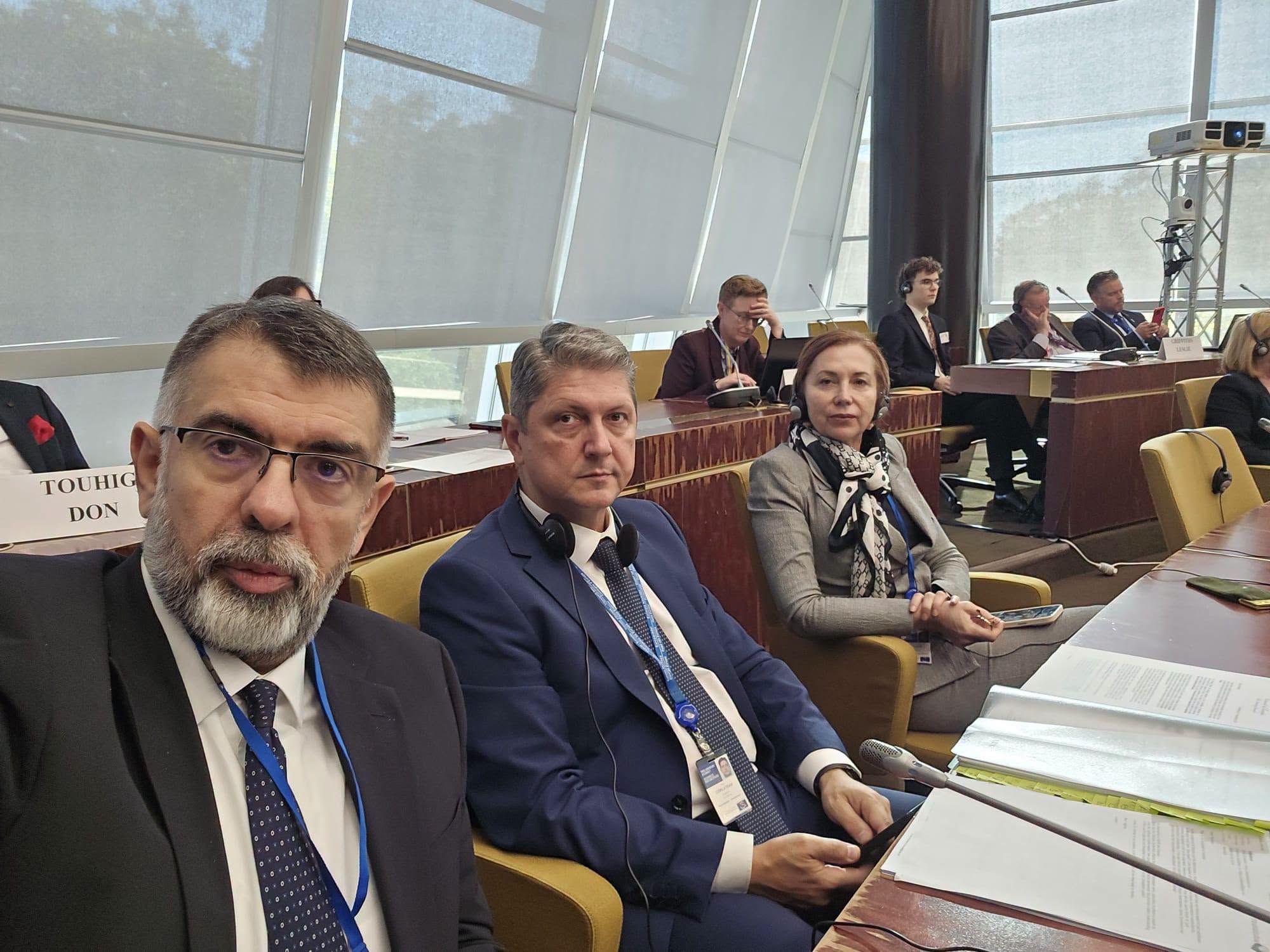 You are currently viewing Carmen Holban, la Adunarea Parlamentară a Consiliului Europei. Un program de mentorat pentru tinerii din diaspora, propunere pe care deputatul vrea să o susțină și în România