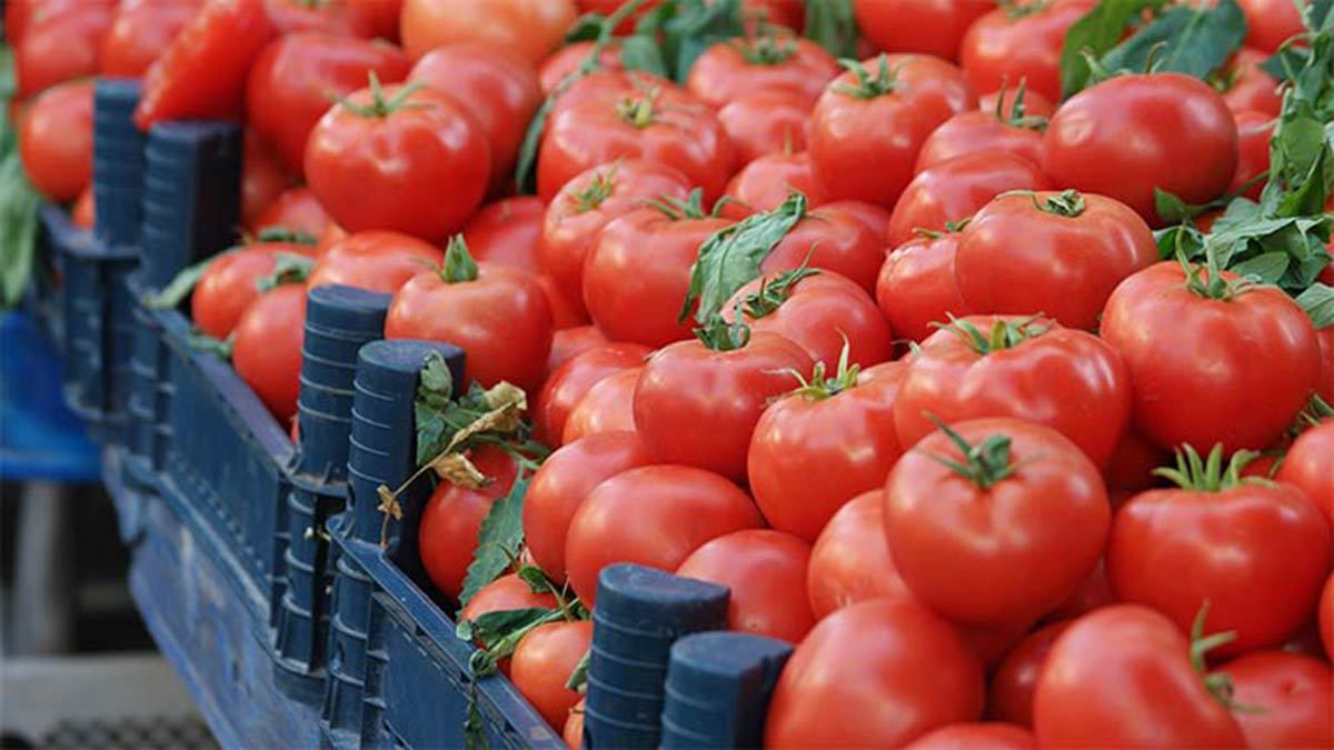 You are currently viewing ANSVSA a descoperit tone de legume din Uzbekistan vândute drept produse românești