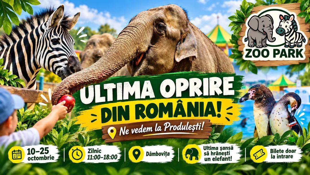You are currently viewing Zoo Park ajunge în Dâmbovița. Elefanți, pinguini, zebre și alte animale pot fi văzute la Produlești
