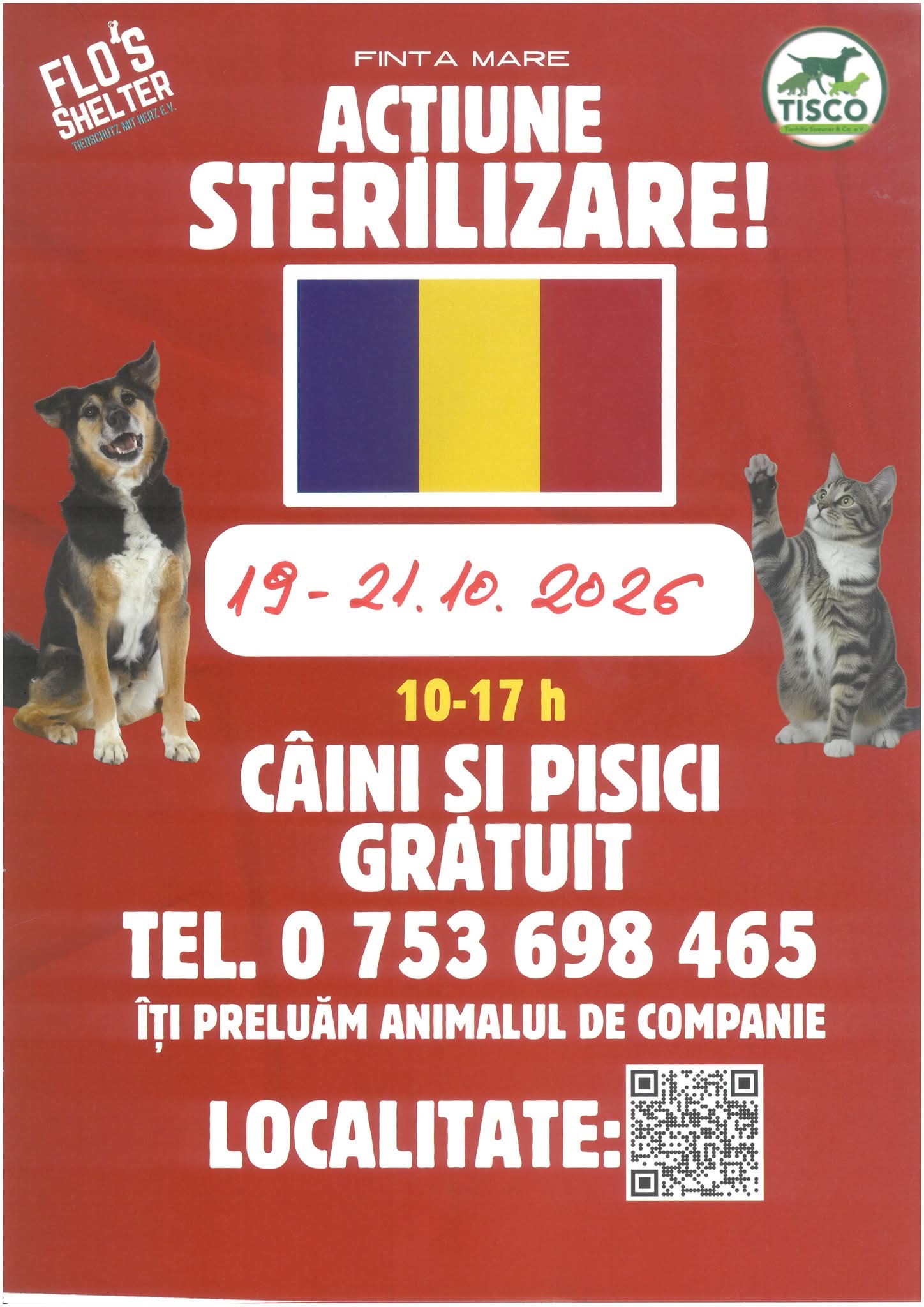 You are currently viewing Sterilizări gratuite pentru câini și pisici, la Finta. Campania se desfășoară timp de trei zile