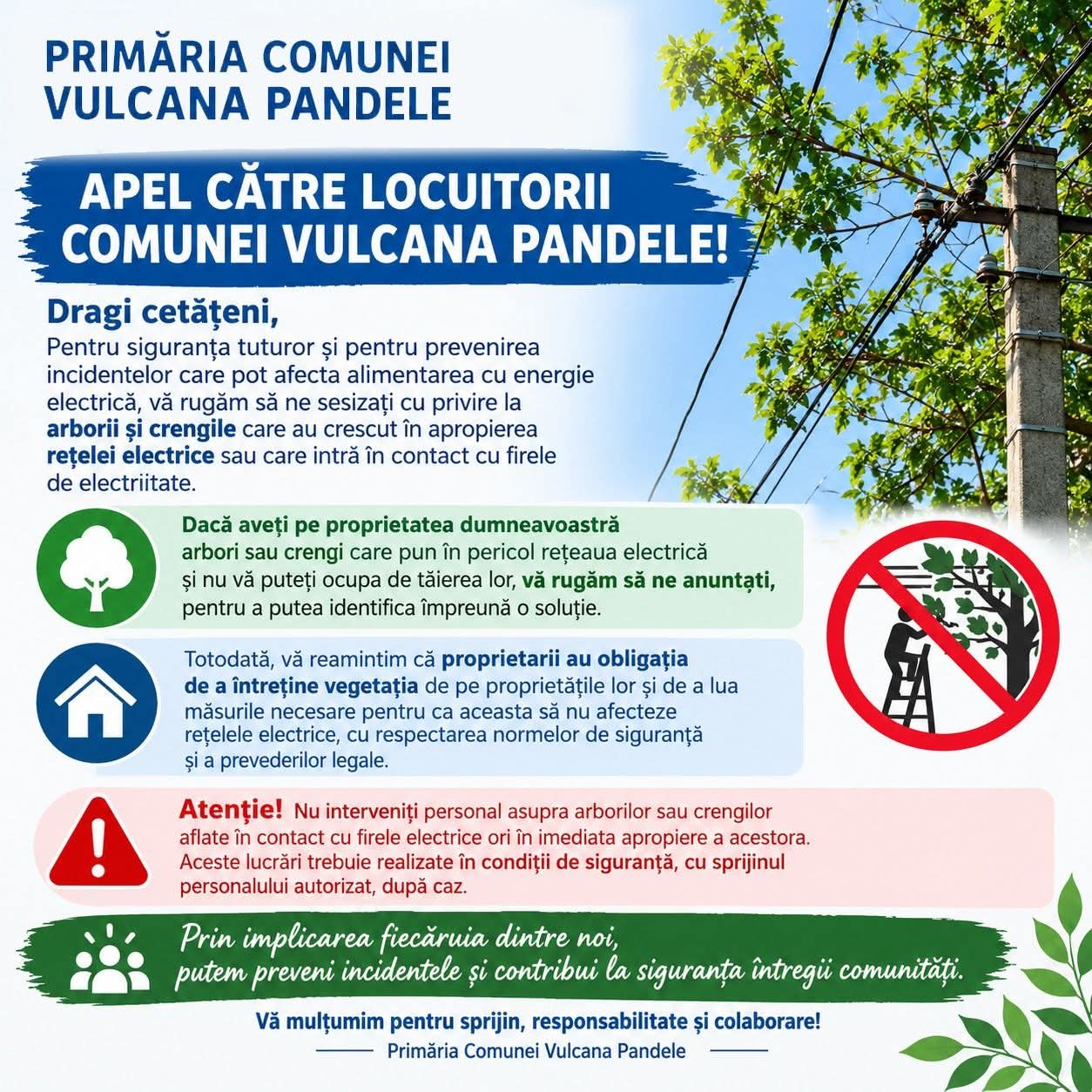 You are currently viewing Arborii care ating firele electrice, pericol pentru locuitorii din Vulcana-Pandele. Primăria cere sprijinul cetățenilor
