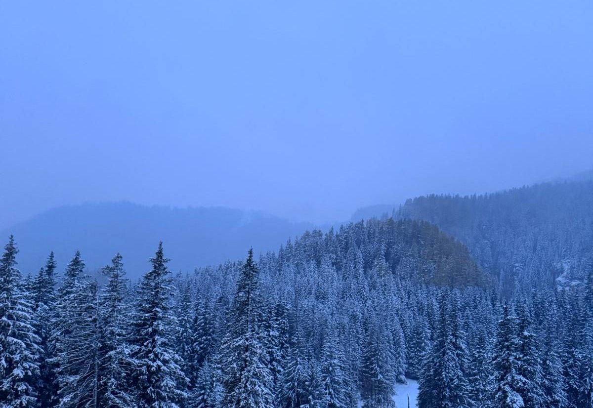 You are currently viewing Prima zăpadă a transformat Bucegii într-un decor de poveste. Ce trebuie să știe turiștii care urcă la munte în weekend