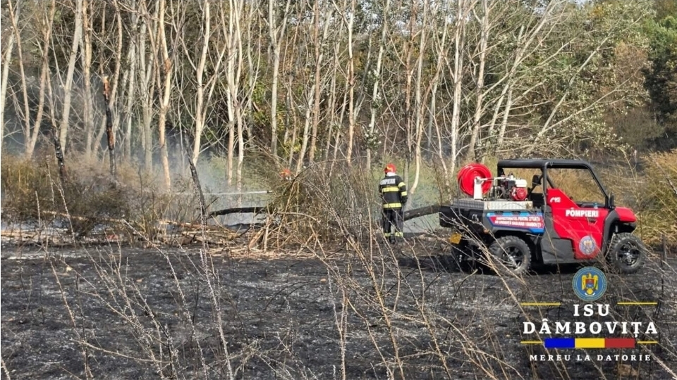 You are currently viewing Incendiu de vegetație uscată produs pe raza localității Aninoasa! Pompierii au intervenit!