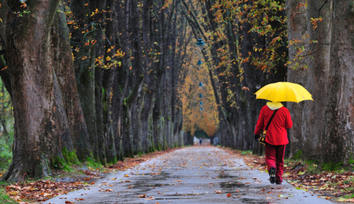 You are currently viewing Ploi și intensificări ale vântului în Dâmbovița, la final de săptămână
