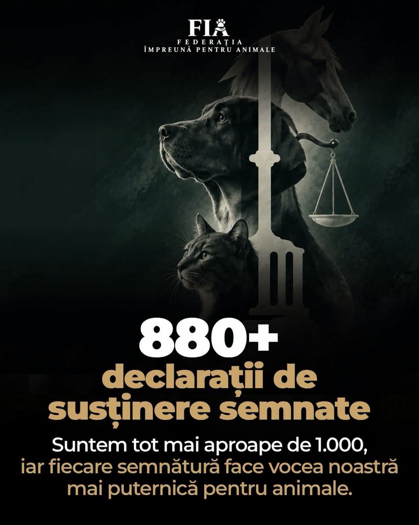 You are currently viewing De la primul spital veterinar social, construit în Dâmbovița, la o voce comună pentru animale. Sache Vet, parte dintr-o nouă inițiativă națională