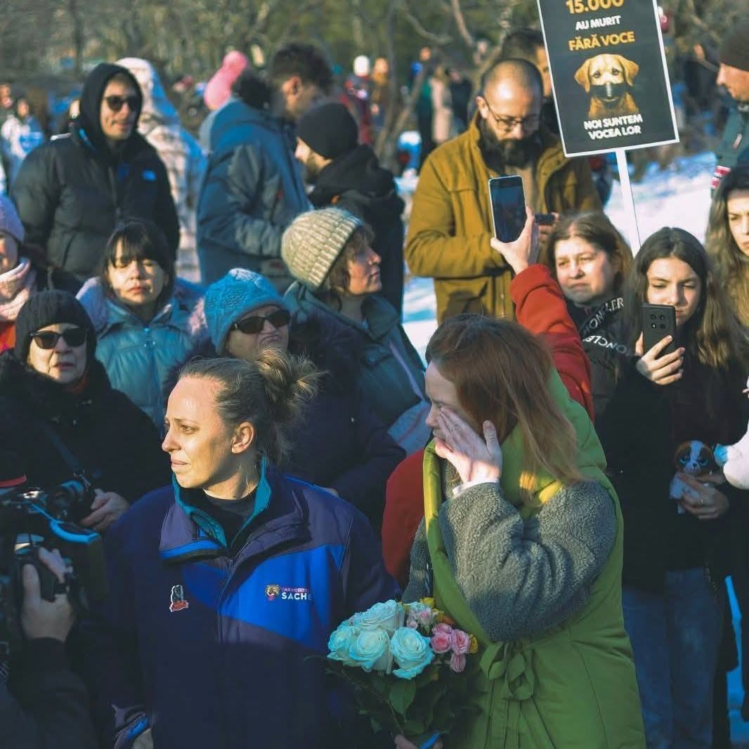 You are currently viewing O voce din Dâmbovița pentru animalele fără glas. Sache Vet se alătură protestului din 4 octombrie